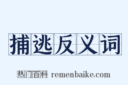 捕逃反义词是什么意思的图片